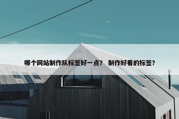 哪个网站制作队标签好一点？ 制作好看的标签？