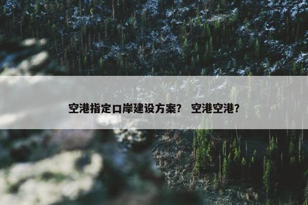 空港指定口岸建设方案？ 空港空港？