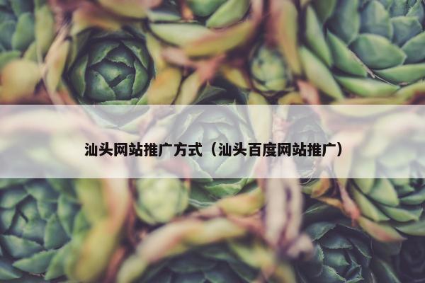 汕头网站推广方式（汕头百度网站推广）
