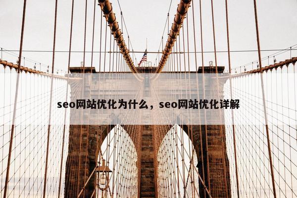 seo网站优化为什么，seo网站优化详解