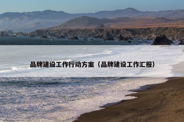 品牌建设工作行动方案（品牌建设工作汇报）