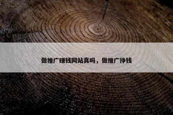 做推广赚钱网站真吗，做推广挣钱