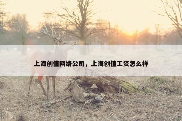 上海创值网络公司，上海创值工资怎么样