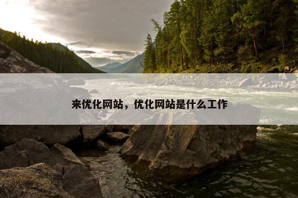 来优化网站，优化网站是什么工作