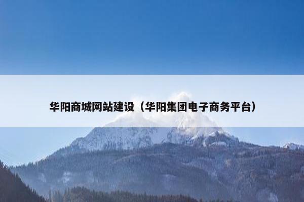 华阳商城网站建设（华阳集团电子商务平台）