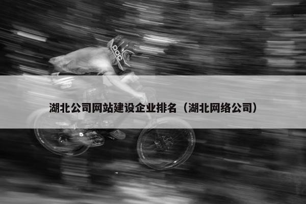 湖北公司网站建设企业排名（湖北网络公司）