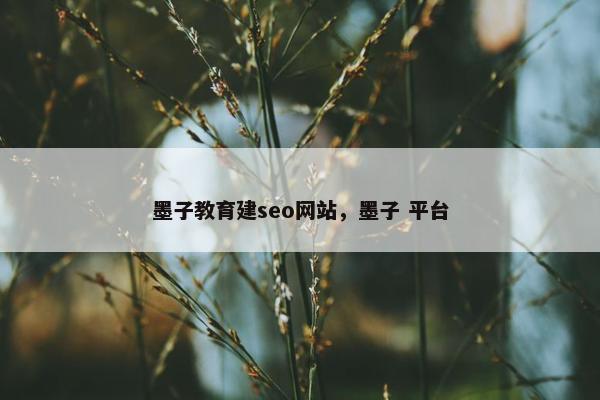 墨子教育建seo网站，墨子 平台