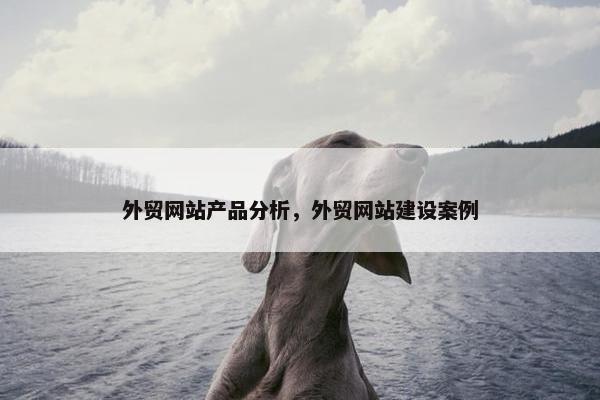 外贸网站产品分析，外贸网站建设案例