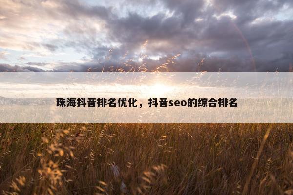 珠海抖音排名优化，抖音seo的综合排名