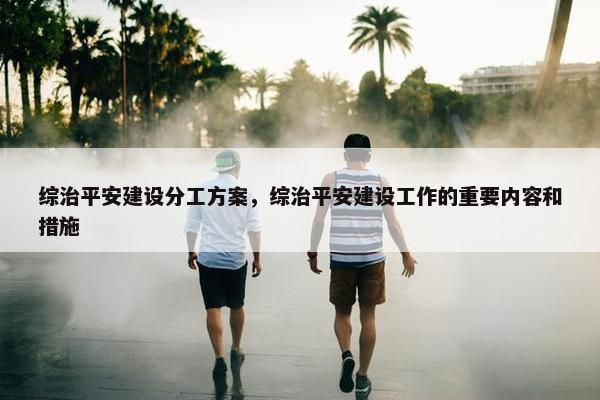 综治平安建设分工方案，综治平安建设工作的重要内容和措施