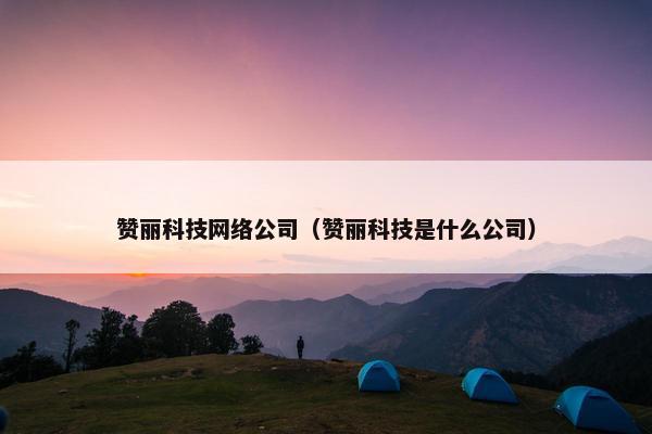 赞丽科技网络公司（赞丽科技是什么公司）