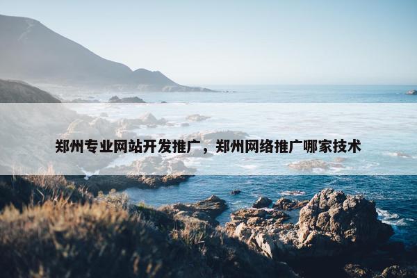 郑州专业网站开发推广，郑州网络推广哪家技术