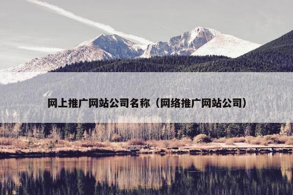 网上推广网站公司名称（网络推广网站公司）