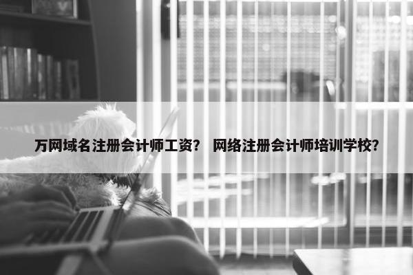 万网域名注册会计师工资？ 网络注册会计师培训学校？