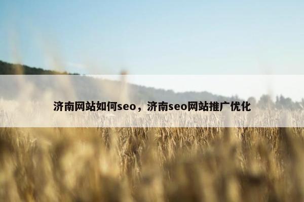 济南网站如何seo，济南seo网站推广优化
