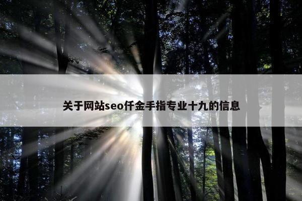 关于网站seo仟金手指专业十九的信息