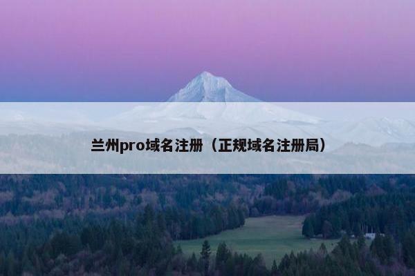 兰州pro域名注册（正规域名注册局）