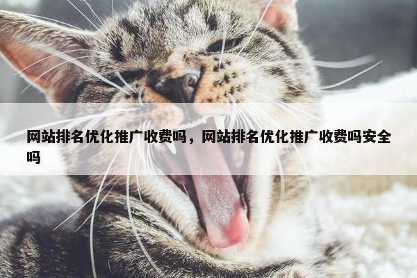 网站排名优化推广收费吗，网站排名优化推广收费吗安全吗