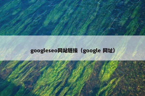 googleseo网站链接（google 网址）