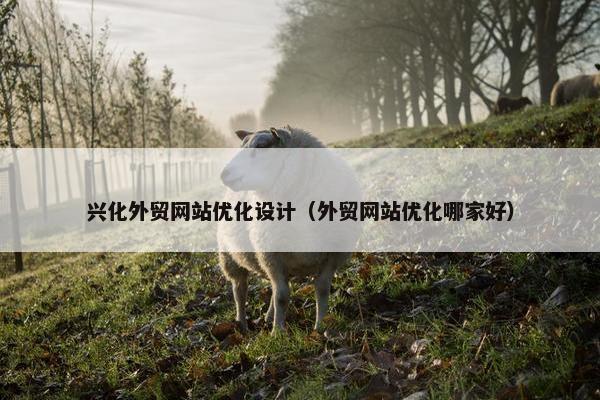 兴化外贸网站优化设计（外贸网站优化哪家好）