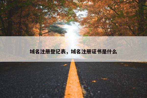 域名注册登记表，域名注册证书是什么