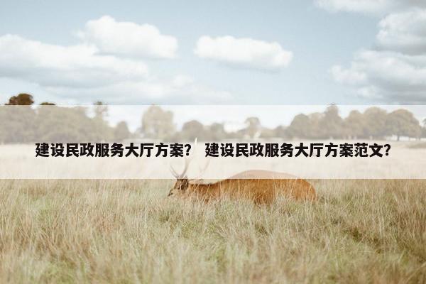 建设民政服务大厅方案？ 建设民政服务大厅方案范文？