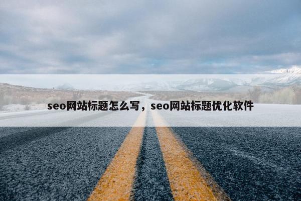 seo网站标题怎么写，seo网站标题优化软件
