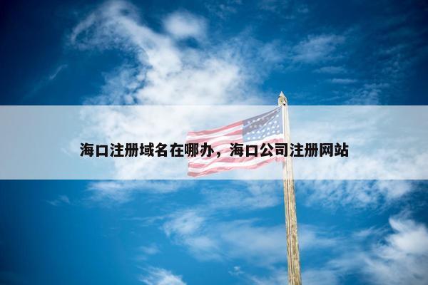 海口注册域名在哪办，海口公司注册网站