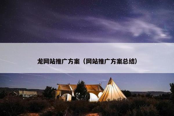 龙网站推广方案（网站推广方案总结）