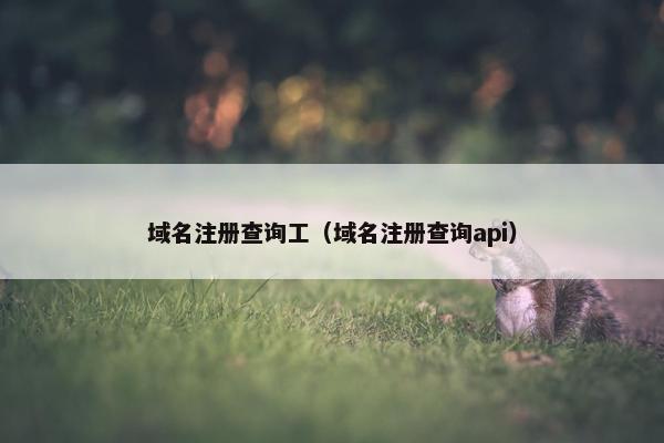 域名注册查询工（域名注册查询api）