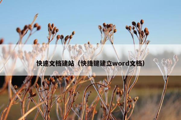 快速文档建站（快捷键建立word文档）