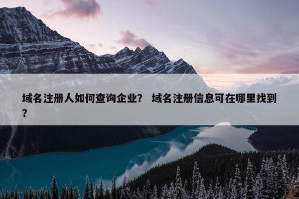 域名注册人如何查询企业？ 域名注册信息可在哪里找到？