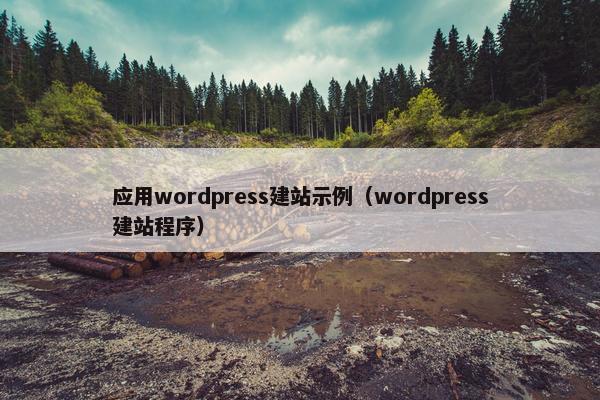 应用wordpress建站示例（wordpress建站程序）