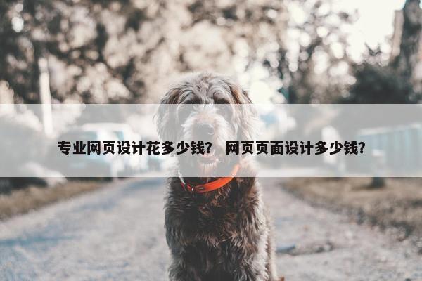 专业网页设计花多少钱？ 网页页面设计多少钱？