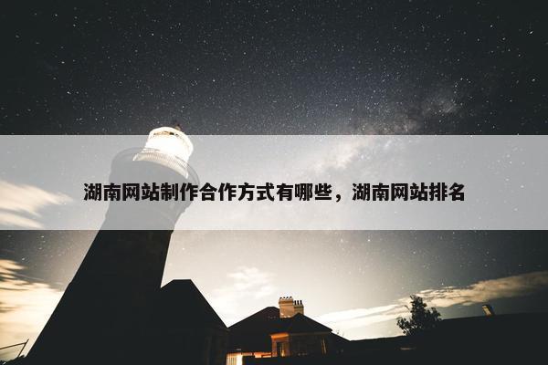 湖南网站制作合作方式有哪些，湖南网站排名