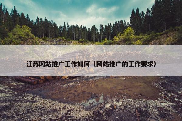 江苏网站推广工作如何（网站推广的工作要求）