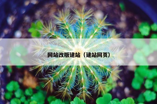 网站改版建站（建站网页）