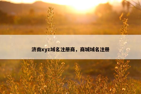 济南xyz域名注册商，商城域名注册