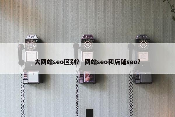 大网站seo区别？ 网站seo和店铺seo？