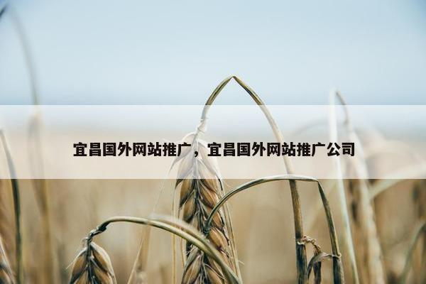 宜昌国外网站推广，宜昌国外网站推广公司