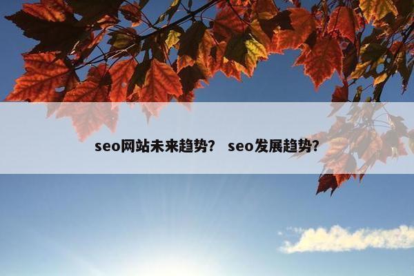 seo网站未来趋势？ seo发展趋势？