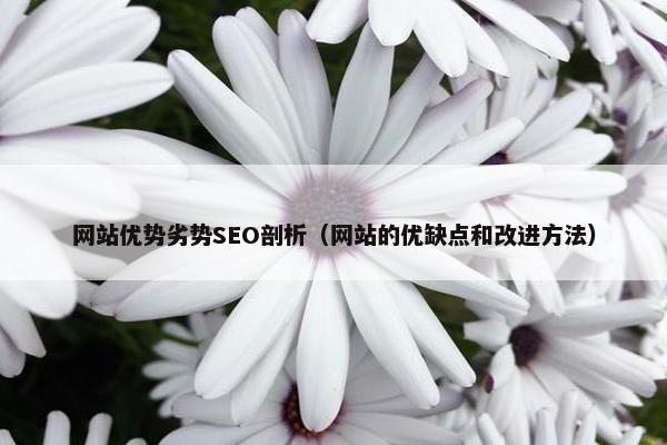 网站优势劣势SEO剖析（网站的优缺点和改进方法）
