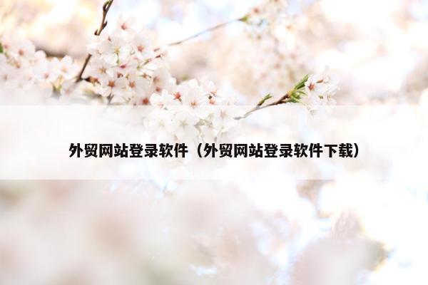 外贸网站登录软件（外贸网站登录软件下载）