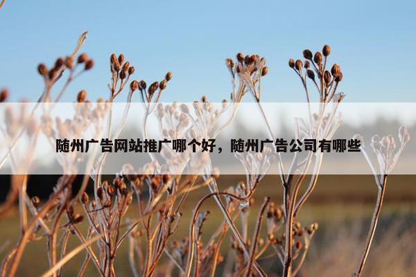 随州广告网站推广哪个好，随州广告公司有哪些
