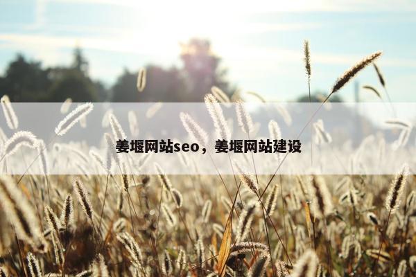 姜堰网站seo，姜堰网站建设