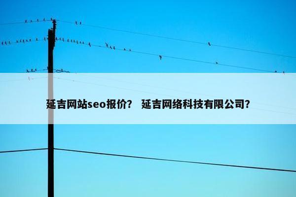 延吉网站seo报价？ 延吉网络科技有限公司？