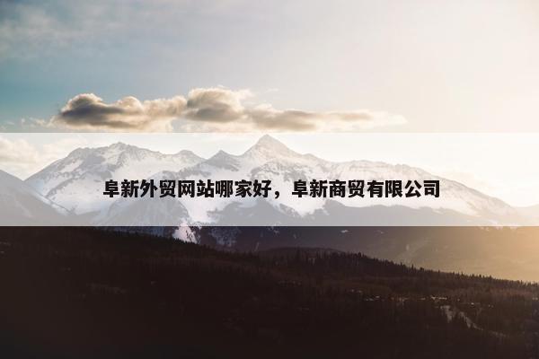 阜新外贸网站哪家好，阜新商贸有限公司