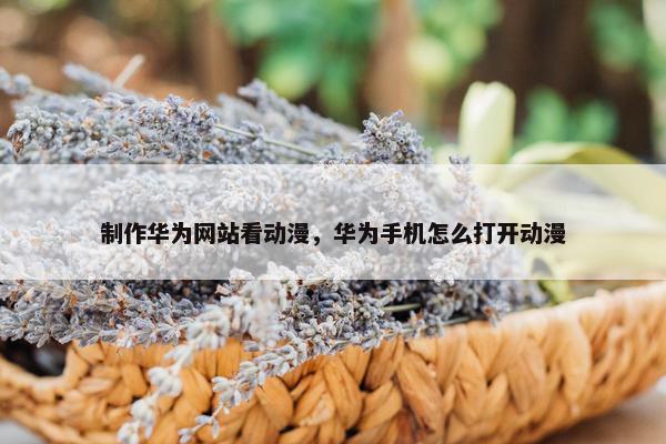 制作华为网站看动漫，华为手机怎么打开动漫