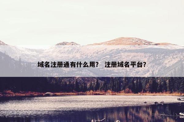域名注册通有什么用？ 注册域名平台？