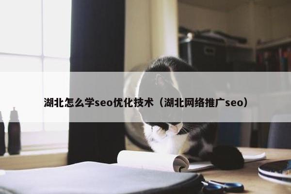 湖北怎么学seo优化技术（湖北网络推广seo）